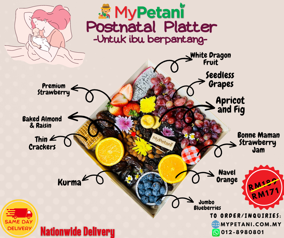 Mont Kiara Post-Natal Maternity New Mother Fruit Platter (Fruit Platter untuk Ibu Berpantang)