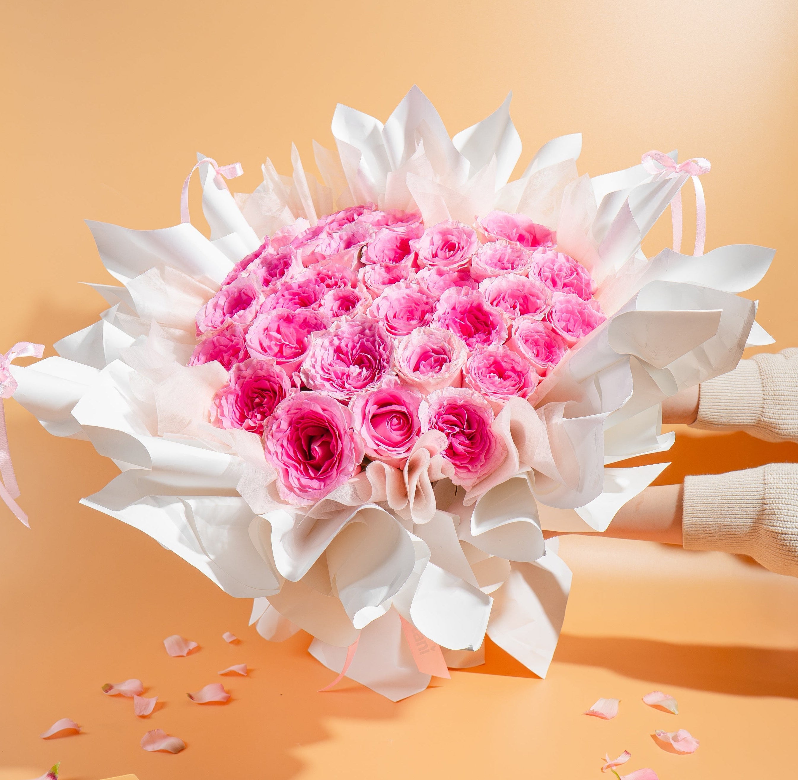 Bouquet of pink roses with white leaves on a peach background