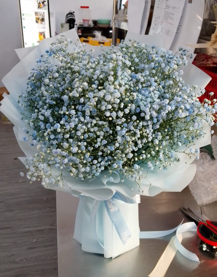 Baby Breath Flowers Bouquet (Available in KL & Selangor Only)