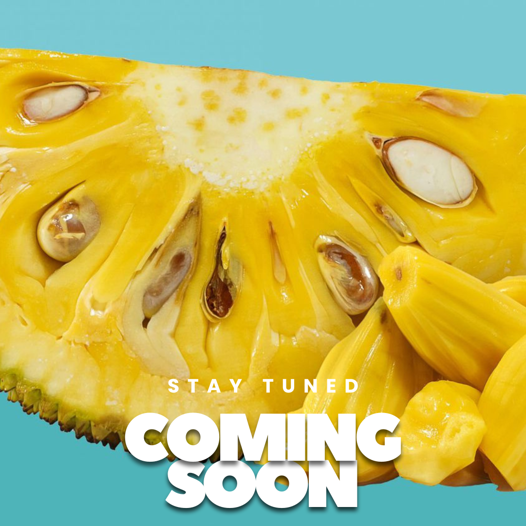 [COMING SOON] Jackfruit Chips