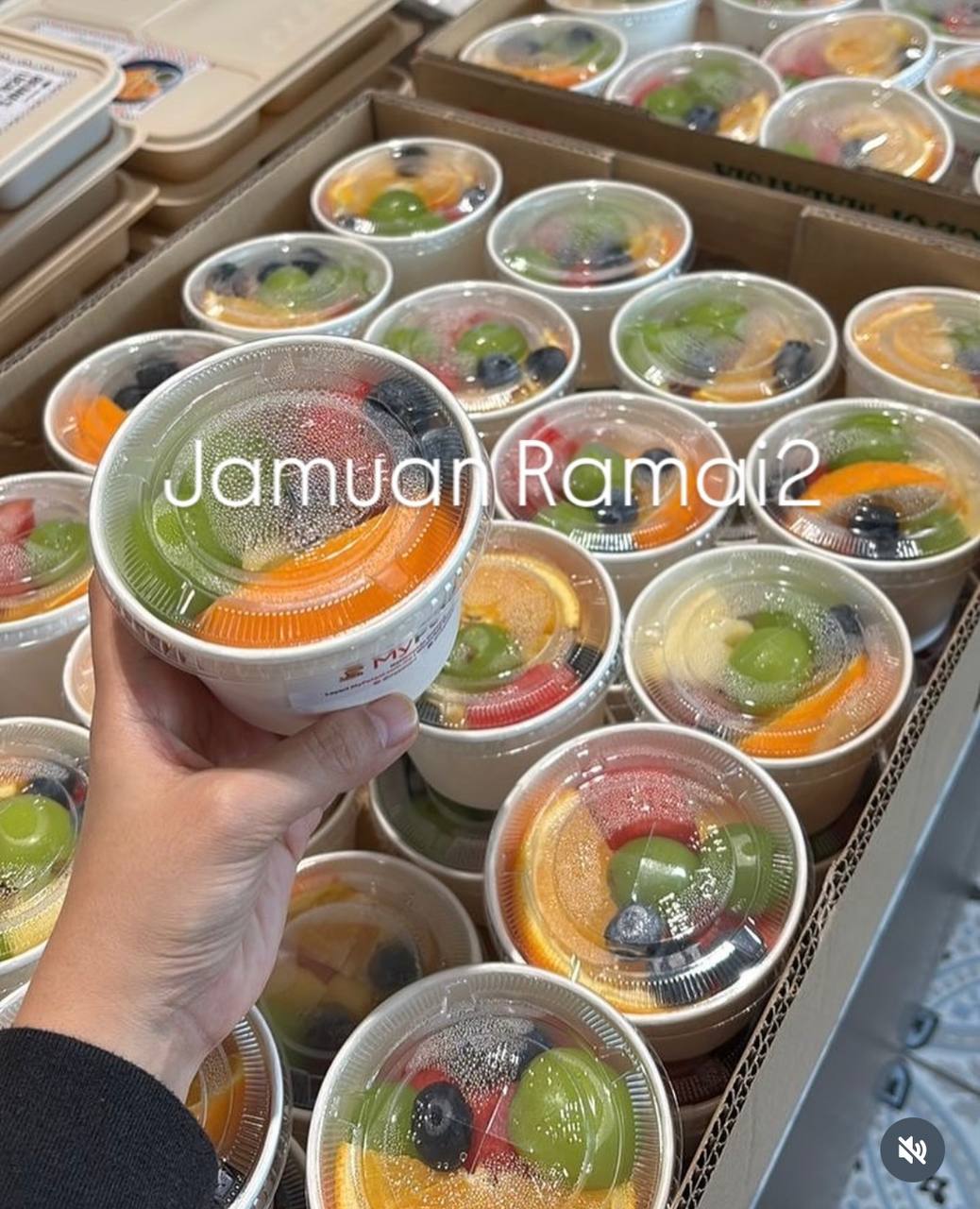 Party Fruit Cups (15-1,000 pax) [Available in KL, Selangor, Penang, Sg Petani & Johor]