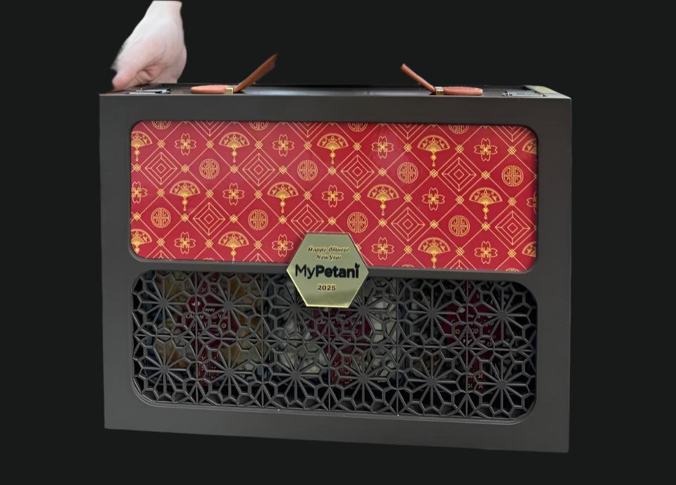 CNY 2025: Good Fortune Gift Box