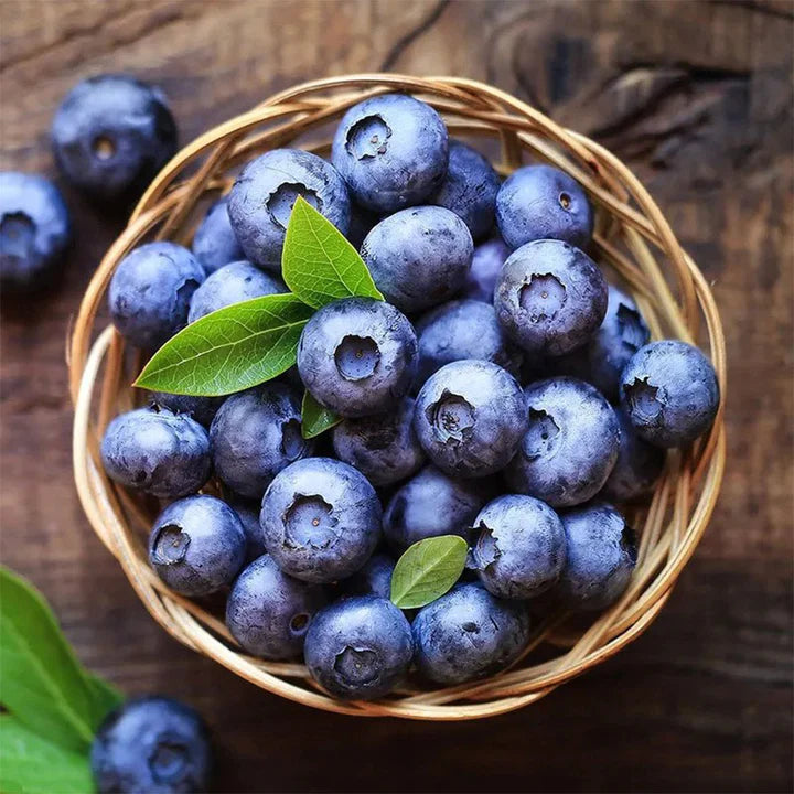 MyPetani Jumbo Blueberries (125g± / box)