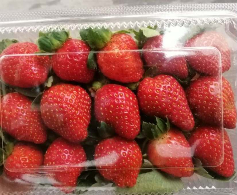 EXTRA 1 Cup Premium Strawberries (Grade A+)