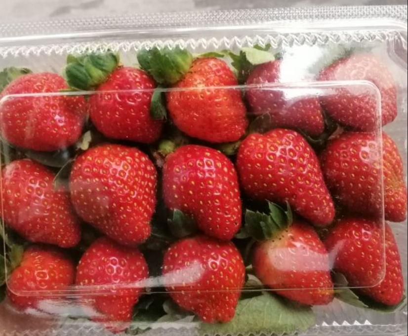 EXTRA 1/2 Cup Premium USA/Korean Strawberries